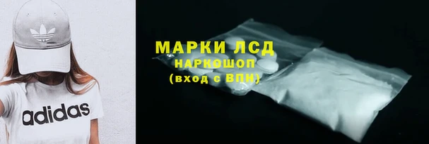 стафф Арсеньев