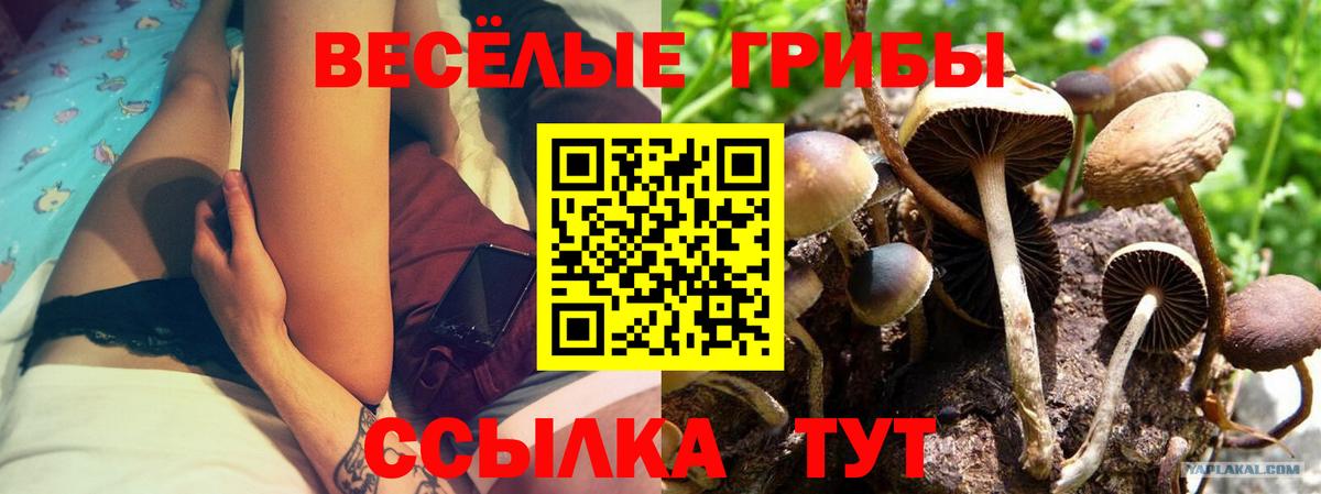 Псилоцибиновые грибы мицелий Радужный