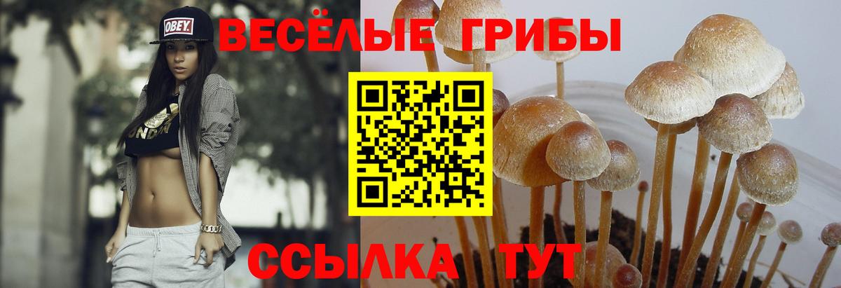 Радужный  Галлюциногенные грибы ЛСД  Псилоцибиновые грибы MAGIC MUSHROOMS  Вход с VPN 